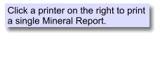 Click a printer on the right to print a single Mineral Report.